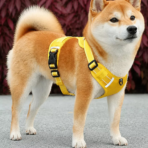 Nylon Dog Harness with Optional Leash