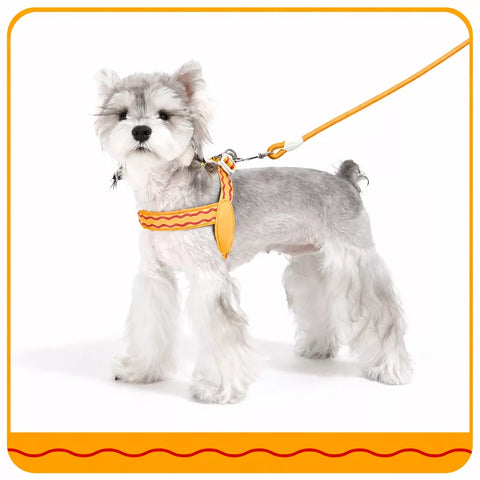 Y-Shaped Nylon Dog Harness and Leash for Small to Medium Dogs
