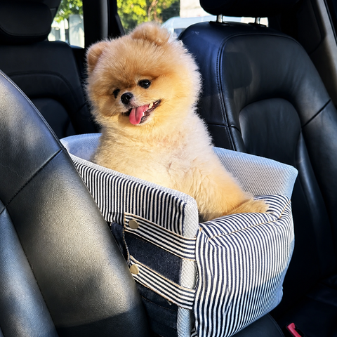 Canvas Pet Car Seat for Small Dogs & Cats