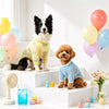 Lightweight Four-Leg Dog Shirt for Warm-Weather Wear
