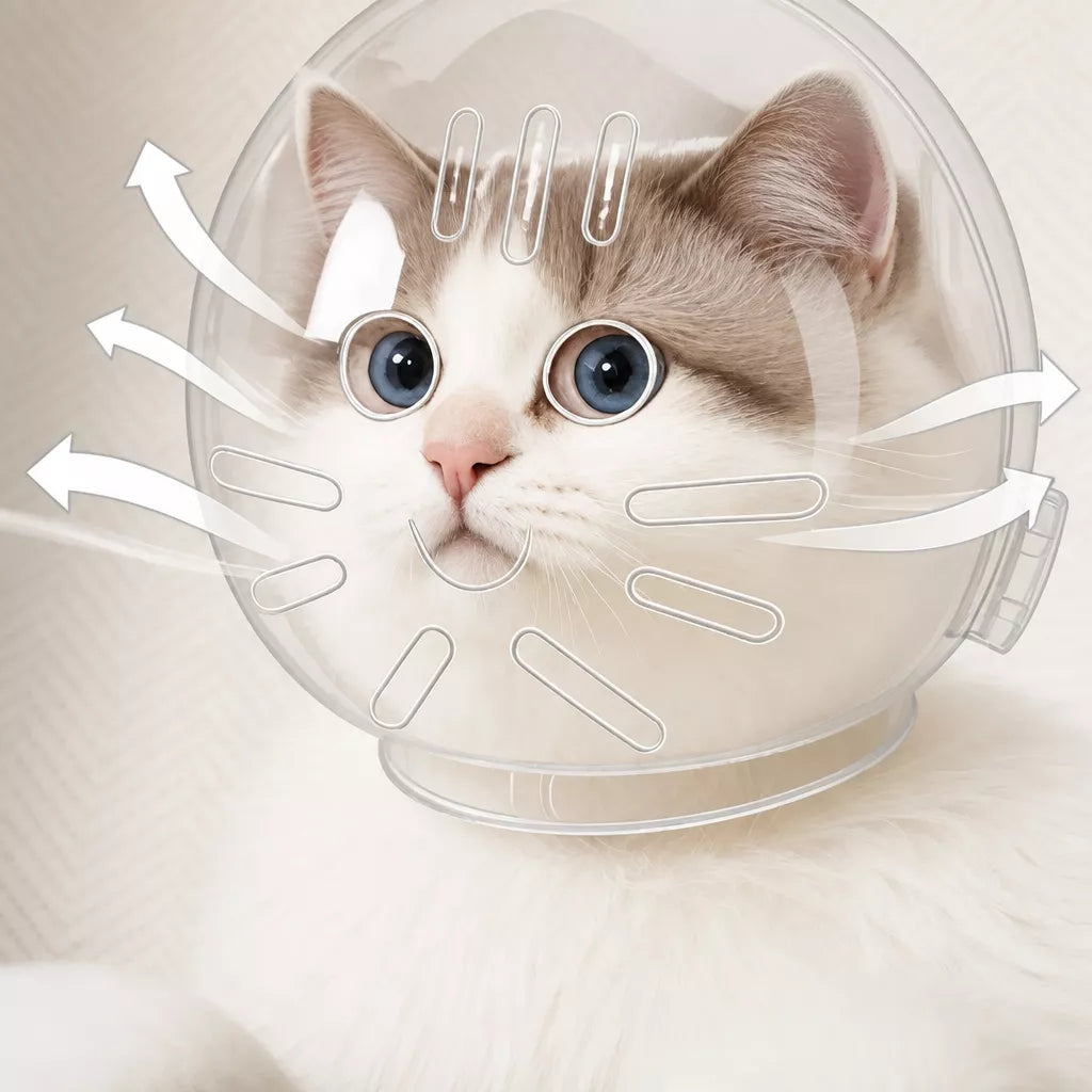 Clear Plastic Recovery Cone for Cats