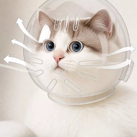 Clear Plastic Recovery Cone for Cats