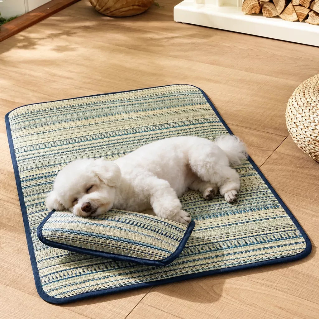 Silicone Dog Resting Mat