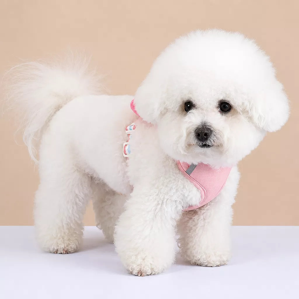 Bow Vest Harness and Leash for Small Dogs