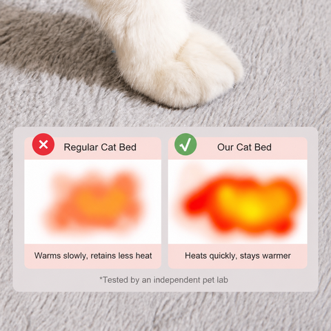 Enclosed Pet Bed with Door Curtain for Cats and Dogs