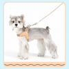 Y-Shaped Nylon Dog Harness and Leash