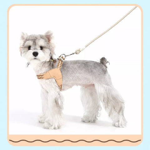 Y-Shaped Nylon Dog Harness and Leash for Small to Medium Dogs