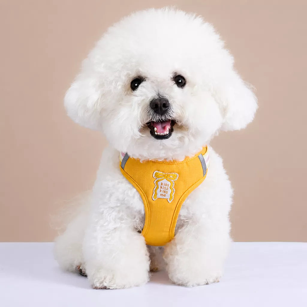 Bow Vest Harness and Leash for Small Dogs