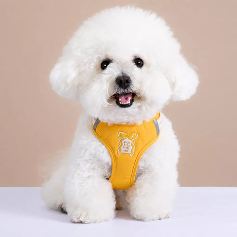 Bow Vest Harness and Leash for Small Dogs