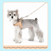 Y-Shaped Nylon Dog Harness and Leash