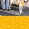 Lightweight Nylon Dog Harness and Leash Set for Everyday Walks