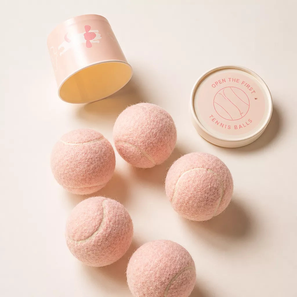 Ice Cream-Themed Interactive Dog Ball Toy