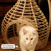 Handwoven Rattan Hanging Pet Bed with Cushion