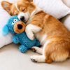 Squeaky Dog Tug Toy - p-00052