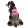 Adjustable Vest-Style Dog Harness