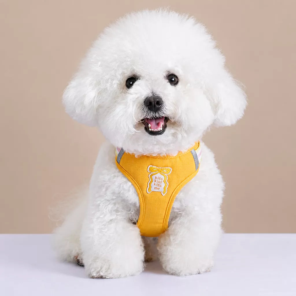 Bow Vest Harness and Leash for Small Dogs