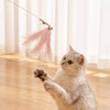 Feather Cat Teaser Toy Set with Bells