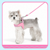 Y-Shaped Nylon Dog Harness and Leash