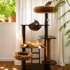 Rubberwood Cat Tree with Hideaway Bed for Multiple Cats