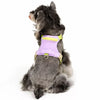 Adjustable Vest-Style Dog Harness