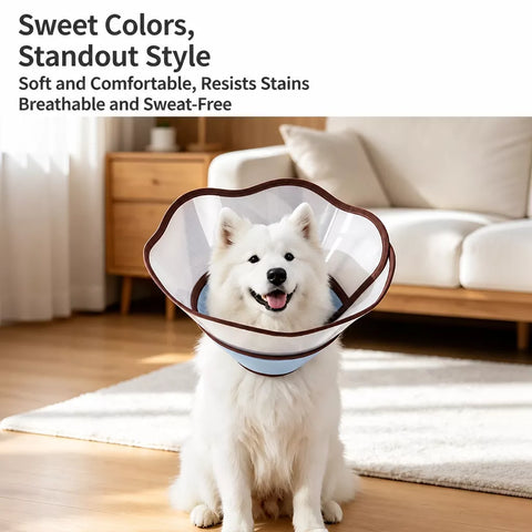 Soft Nylon Recovery Cone for Dogs