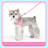 Y-Shaped Nylon Dog Harness and Leash