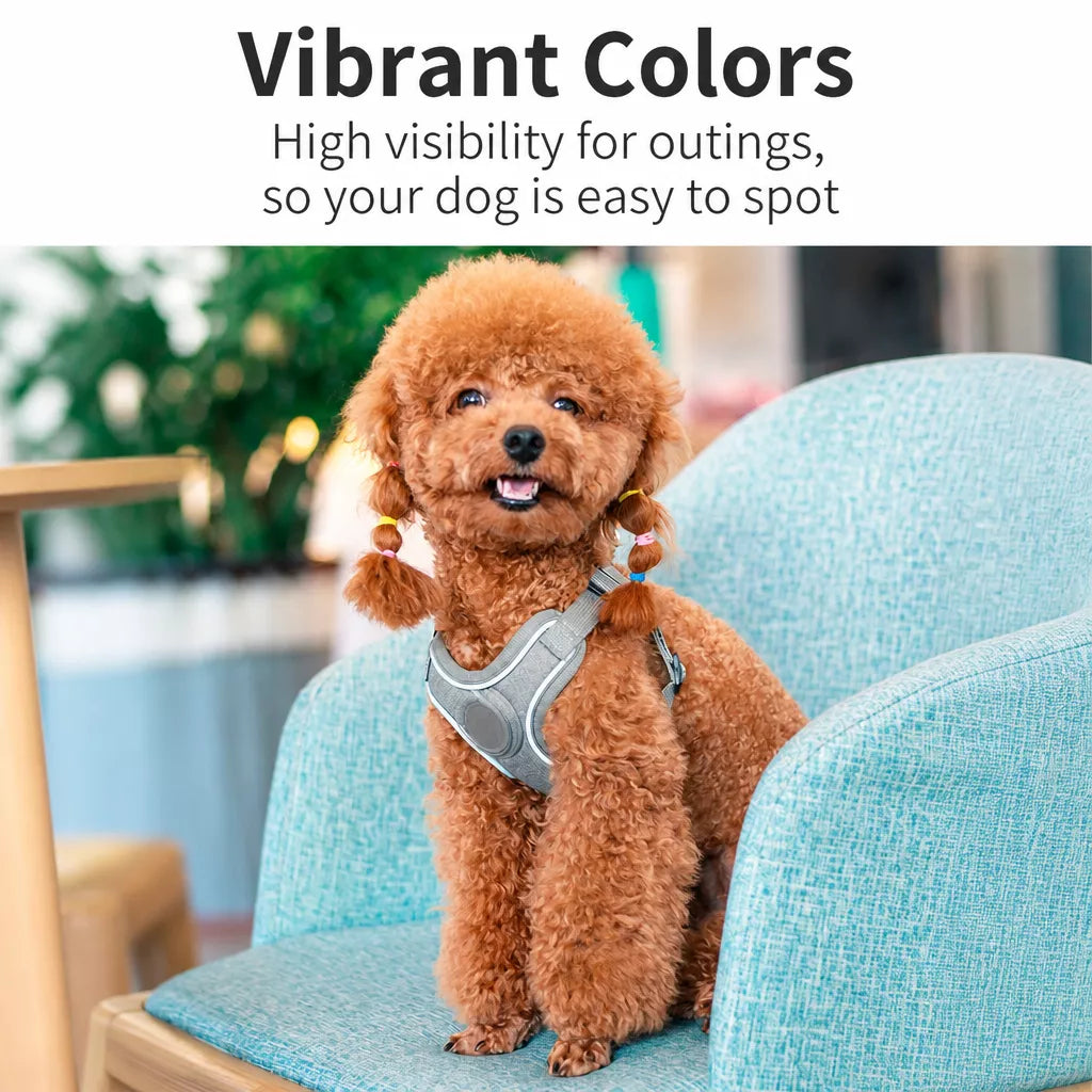 Vest-Style Dog Harness & Leash Set for Small to Medium Dogs