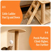 Wooden Cat Tree with Scratching Post and Enclosed Cat House
