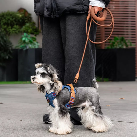 Pet Vest Harness for Small to Medium Dogs