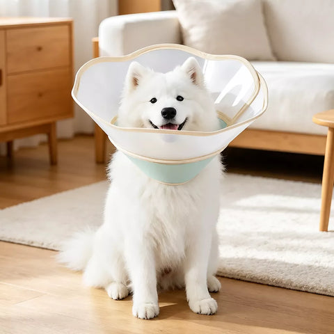 Soft Nylon Recovery Cone for Dogs