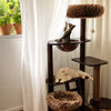 Rubberwood Cat Tree with Hideaway Bed for Multiple Cats
