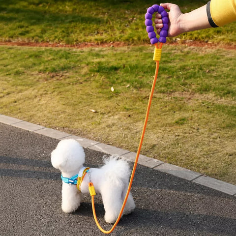 Vest-Style Nylon Dog Harness with Round Rope Leash