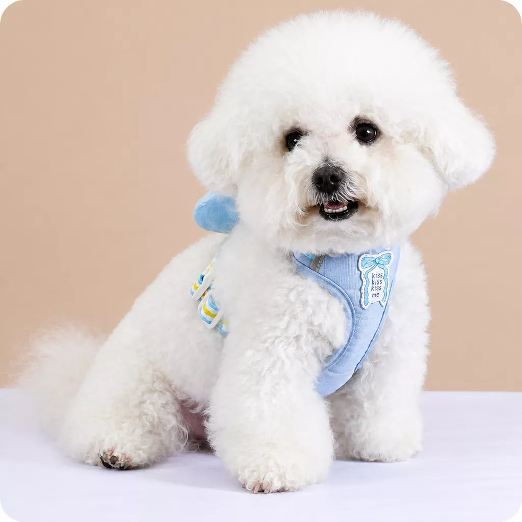 Bow Vest Harness and Leash for Small Dogs