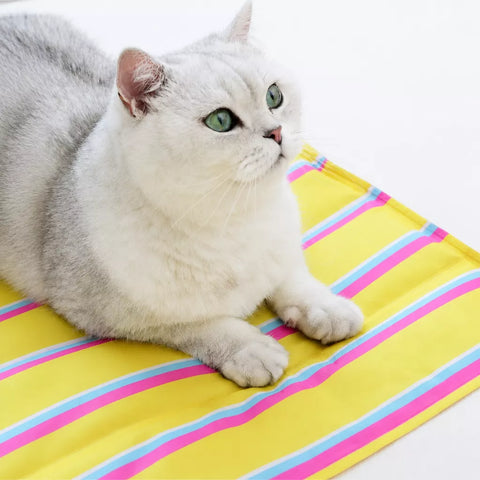 Striped Gel Pet Mat for Dogs & Cats