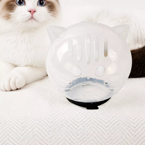Clear Plastic Recovery Cone for Cats