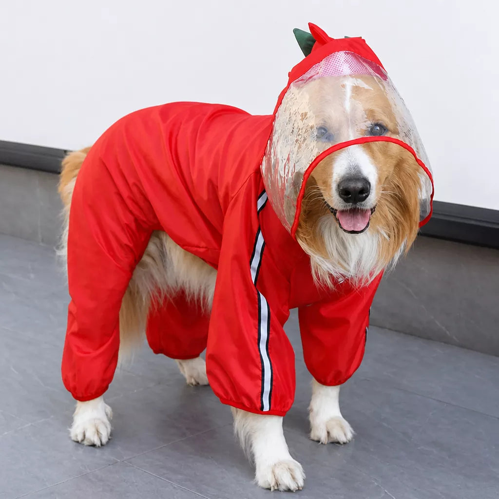 Four-Leg Waterproof Dog Raincoat