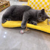 Feather Ball Teaser Toy for Cats