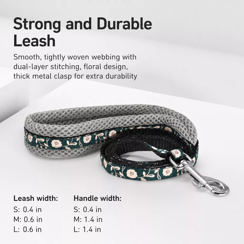 Small Dog Vest Harness and Leash Set