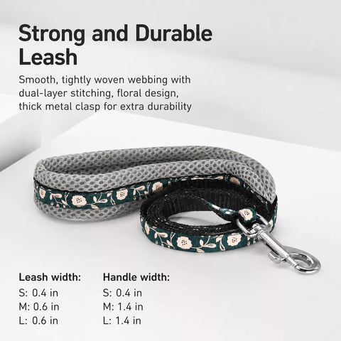 Small Dog Vest Harness and Leash Set