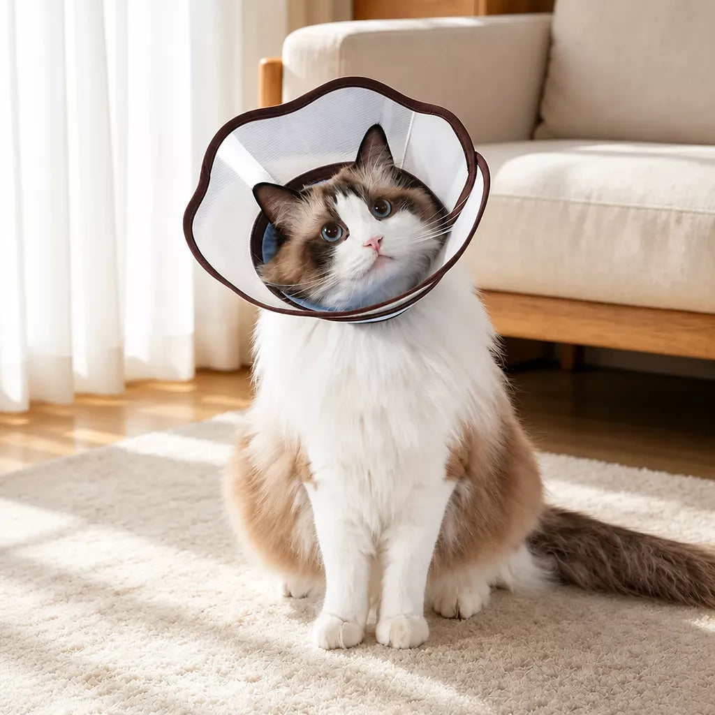 Soft Nylon Recovery Cone for Dogs