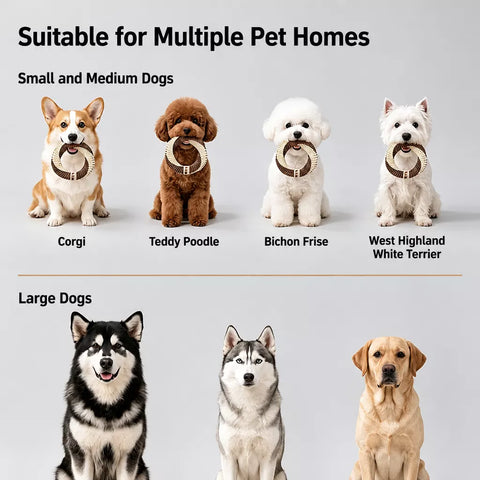 Nylon Dog Tug Toy for Interactive Play
