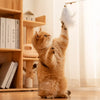Feather Cat Teaser Toy Set with Bells