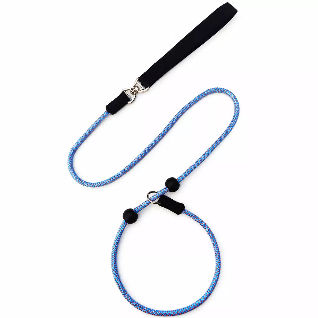 One-Piece Nylon Rope Training Leash for Small and Medium Dogs