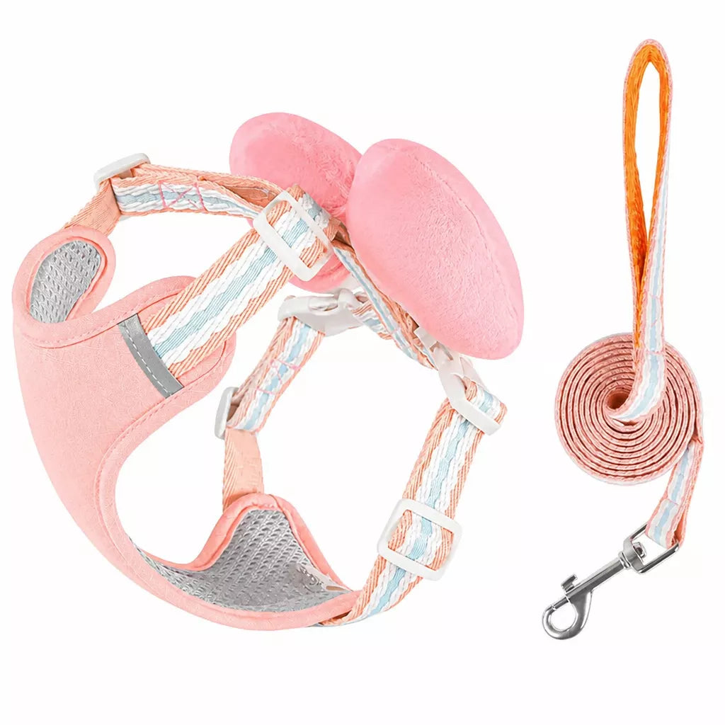 Bow Vest Harness and Leash for Small Dogs