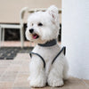 Lightweight Dog Summer Vest