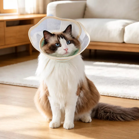 Soft Nylon Recovery Cone for Dogs