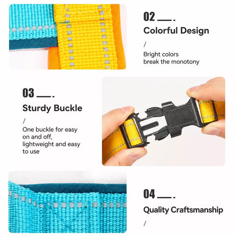 Vest-Style Nylon Dog Harness with Round Rope Leash