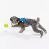 All-in-One Nylon Dog Harness with Retractable Leash