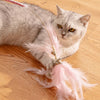 Feather Cat Teaser Toy Set with Bells