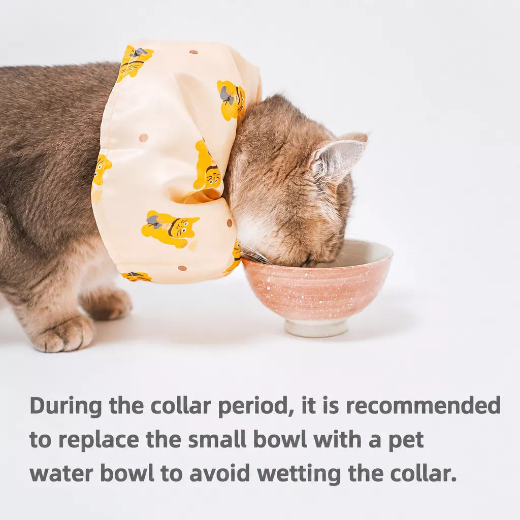 Adjustable Nylon Pet Cone with Lucky Cat Print